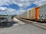 TTGX 698108